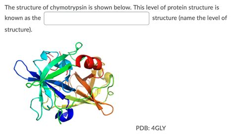 Solved The structure of chymotrypsin is shown below. This | Chegg.com