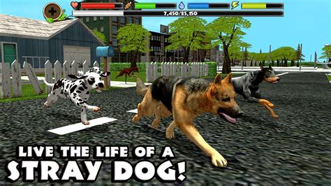 🐕👍Stray Dog Simulator-Симулятор бродячих Cобак- By Gluten Free games ...