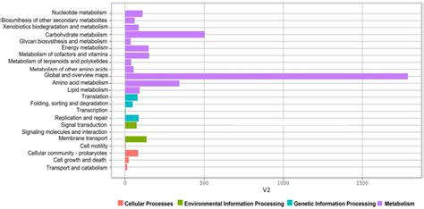 The Kyoto Encyclopedia of Genes and Genomes (KEGG) function annotation ...