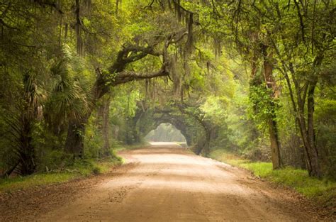 11 Fun South Carolina Road Trips For Your Bucket List - Southern Trippers