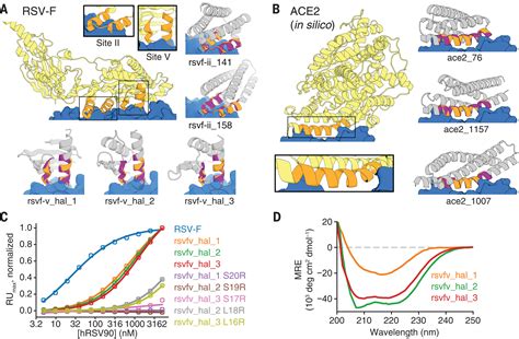 Scaffolding protein functional sites using deep learning | Science