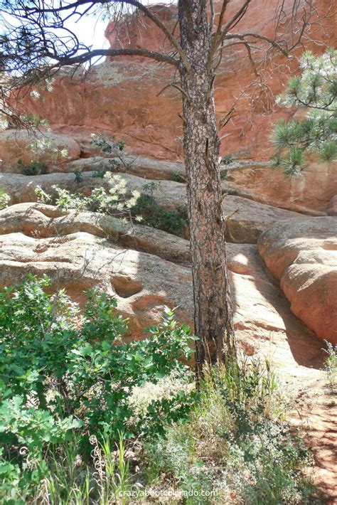 Hiking Red Rock Canyon, You Will Long For More... | Crazy About Colorado