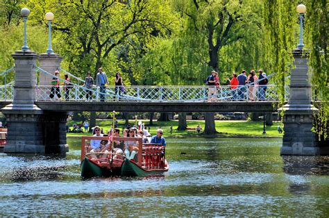 Public Garden Swan Boats | Fasci Garden