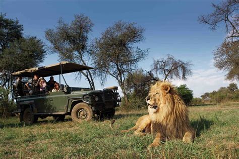 Choosing a South African Safari - The Budget Your Trip Blog