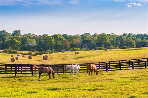 Old farm landscape stock photo. Image of landscapes, scenery - 13408166