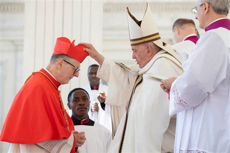 Vatican : le pape François ordonne 21 nouveaux cardinaux, dont deux ...