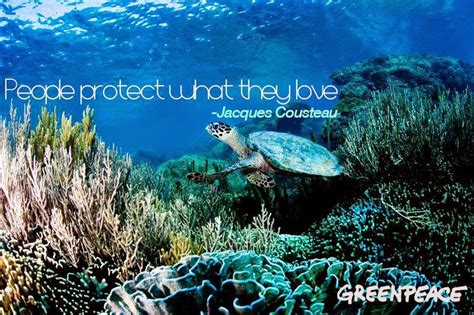 Jacques Yves Cousteau Quotes. QuotesGram