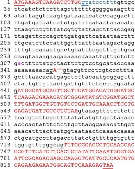 Exon Definition and Examples - Biology Online Dictionary