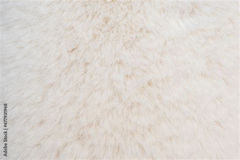 beautiful abstract white fur background texture Stock Photo | Adobe Stock