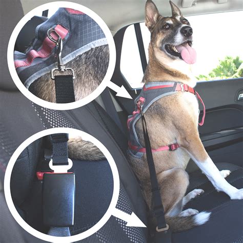 Heavy-Duty Adjustable Dog Seat Belt: For Use with Your Dog’s Harness – iHeartDogs.com