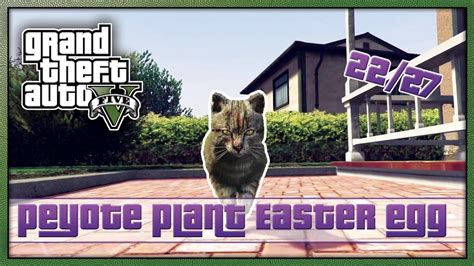 GTA 5 Peyote Plant Easter Egg Location 22/27 'Cat' (NEXT GEN GTA V GAMEPLAY) - YouTube