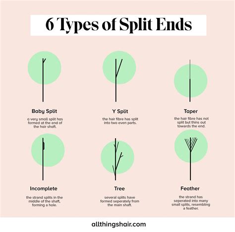 Complete Guide to Rid of Split Ends and Prevent Future Damage | All Things Hair US