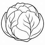 Brussels sprouts Vegetable Outline coloring Book Page Line art drawing  sketch template