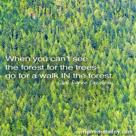 See Through Forest Trees Quotes. QuotesGram