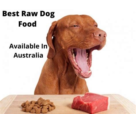 7 Best Raw Dog Food Options Australia (2022 Buyer’s Guide ...