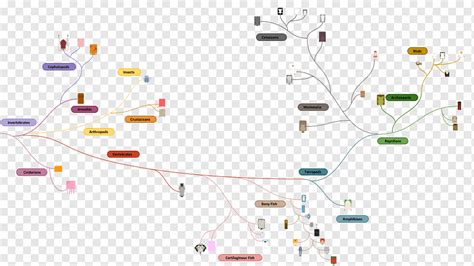 Deeeep.io Evolution Diagram pohon filogenetik, pohon evolusi, sudut ...