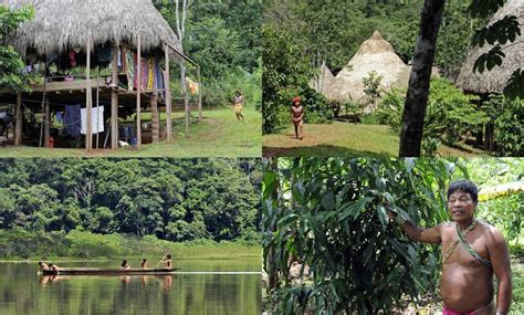 How to Visit an Embera Indian Village in Panama - Tropical House & Garden