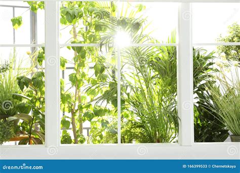 66,132 Beautiful Window Garden Stock Photos - Free & Royalty-Free Stock ...