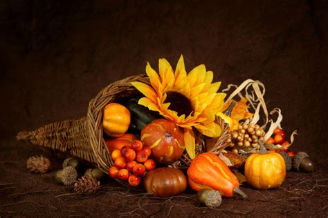 The Cornucopia: An Iconic Symbol of Thanksgiving - Eastern Floral ...