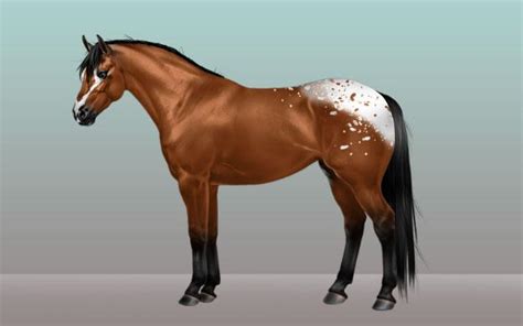 Movement Sim - Horse Games Online