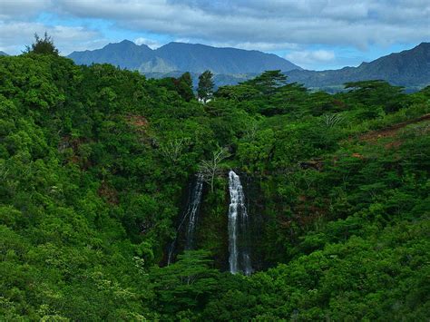 Opaekaa Falls Kauai Hawaii Photograph by Ken Smith