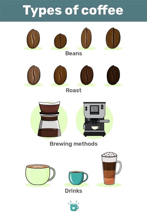 Types of Coffee - Beans, Roasts, Drinks. Time to Get Geeky!