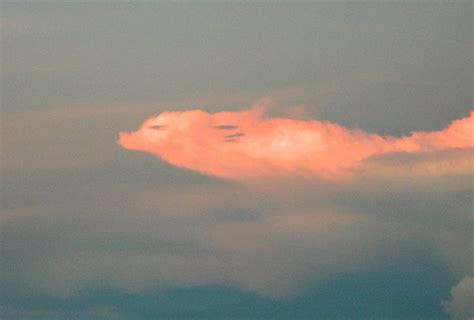 Stunning photos show pink cloud in the shape of a pig | Nature | News | Express.co.uk