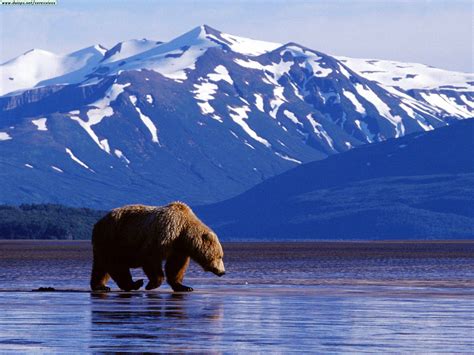 World Visits: Alaska Largest State In The United States