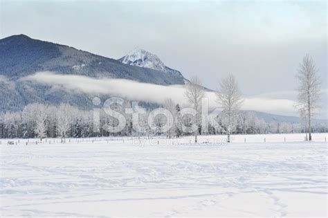 Winter Landscape Stock Photo | Royalty-Free | FreeImages