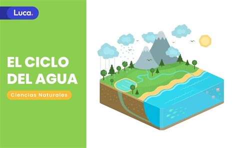 El ciclo del agua, proceso fundamental para la vida