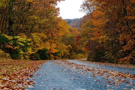 Camping in Great Smoky Mountains National Park: The Ultimate Guide to All 9 Campgrounds » The ...