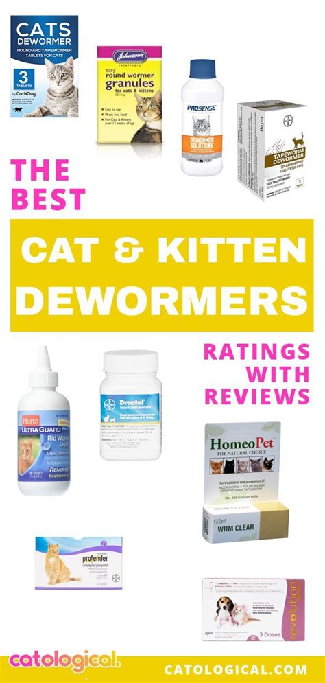 If it’s come that season where you’re looking to deworm your cat or you’ve just gotten a new ...