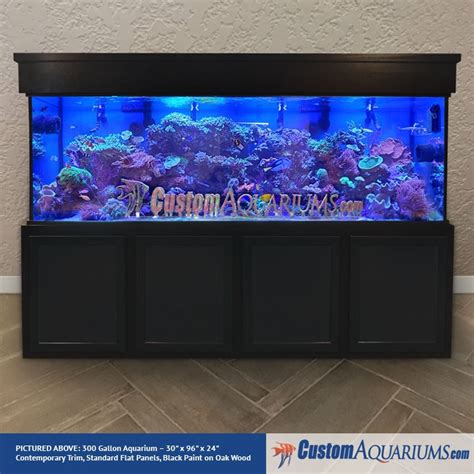 700 Gallon Fish Tank | ubicaciondepersonas.cdmx.gob.mx