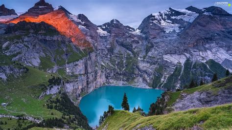 Bernese Alps, Canton of Bern, VEGETATION, Oeschinen Lake, viewes ...