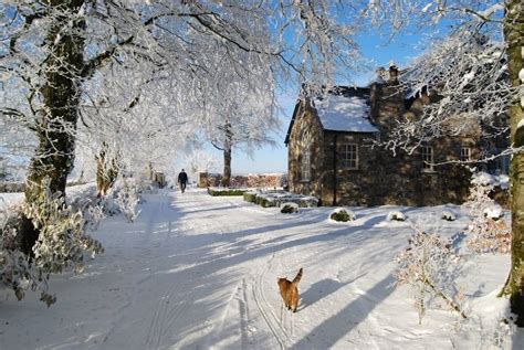 90 best images about Winter in Ireland on Pinterest | Jameson irish ...