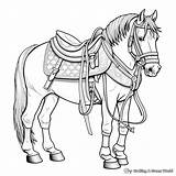 Horse With Saddle Coloring Pages  Free & Printable sketch template