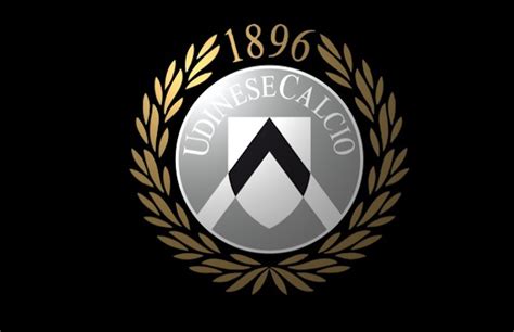 Udinese Calcio players Salaries / Wage bills 2015-2016