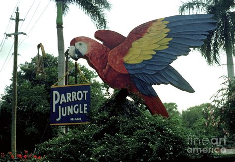 Parrot Jungle Miami Entrance Photograph by Robert Birkenes - Fine Art America