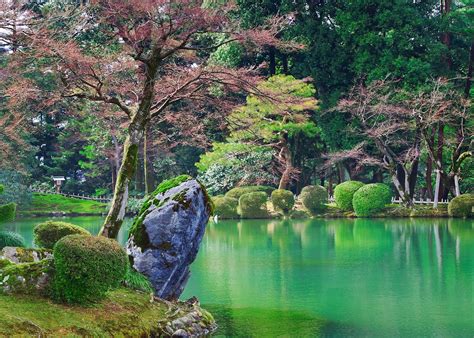 Gardens of Japan: a travel guide | Audley Travel UK