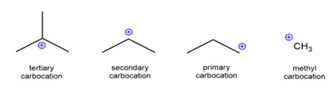 What are carbocations ? Discuss their various types.