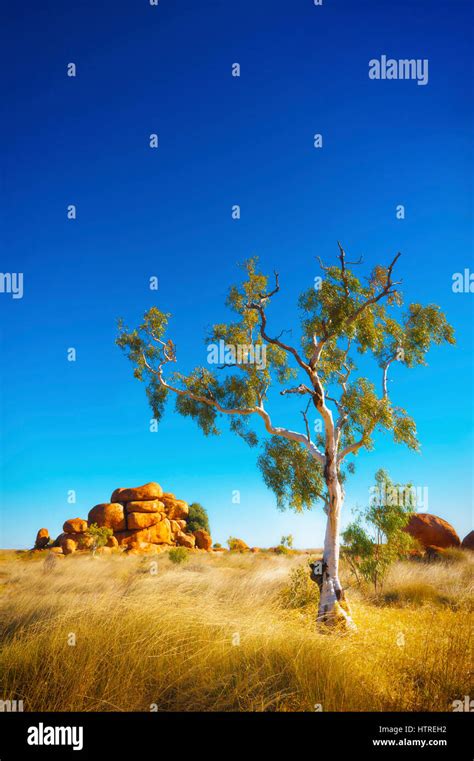 Australian outback landscape hi-res stock photography and images - Alamy