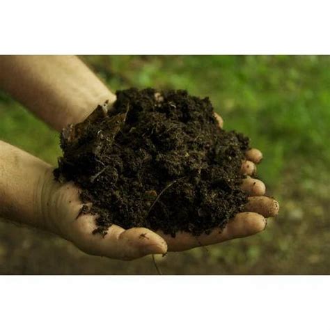 Organic Manure at Rs 30000/metric ton | Velachery | Chennai | ID: 13894137130