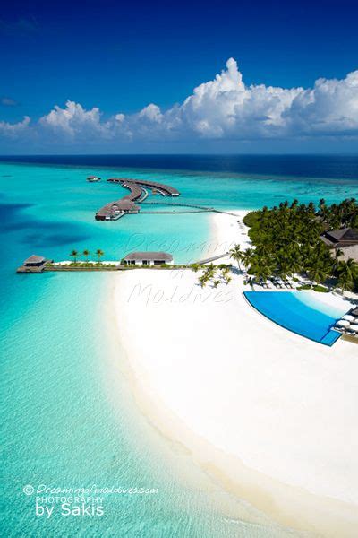 Dreaming of an Infinity Pool at Velassaru Maldives... Popular Honeymoon Destinations, Honeymoon ...