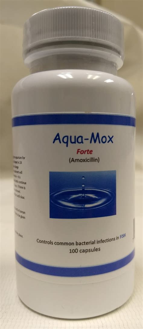 Fish Mox Forte Amoxicillin 500MG 100 CT - Huber's Animal Health