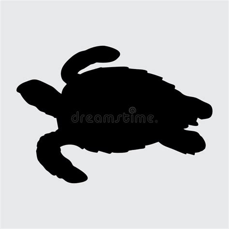 Turtle Silhouette, Turtle Isolated on White Background Stock Vector - Illustration of cartoon ...