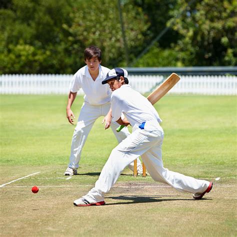 1,500+ Cricket Training Stock Photos, Pictures & Royalty-Free Images ...