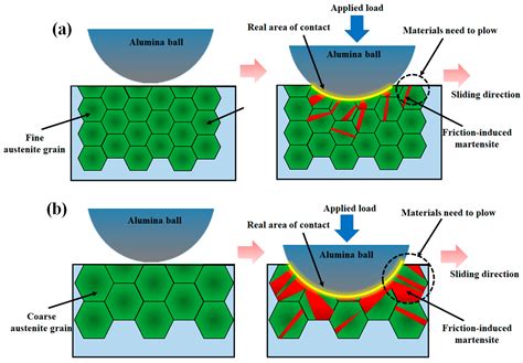 Metals | Free Full-Text | Effect of Grain Size on the Friction-Induced Martensitic ...