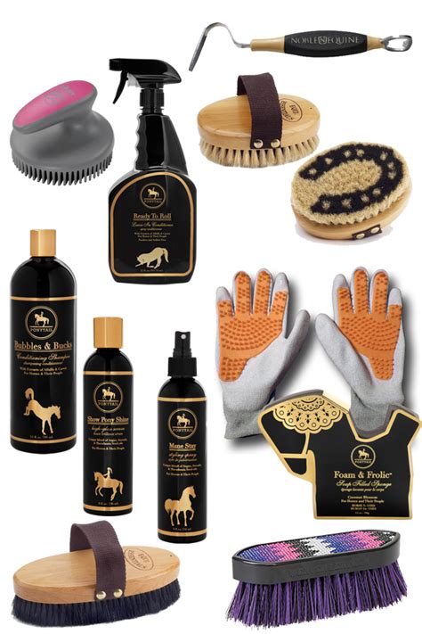 Grooming Essentials for a Clean Horse | Horses & Heels