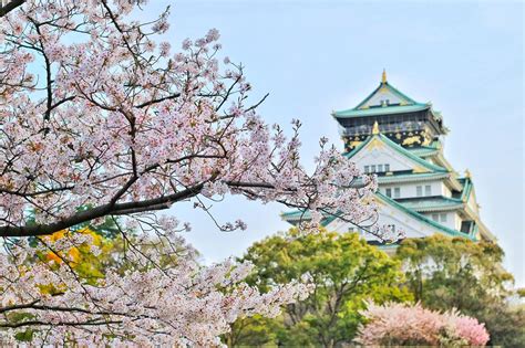 The 10 Best Cherry Blossom (Sakura) Spots In Osaka