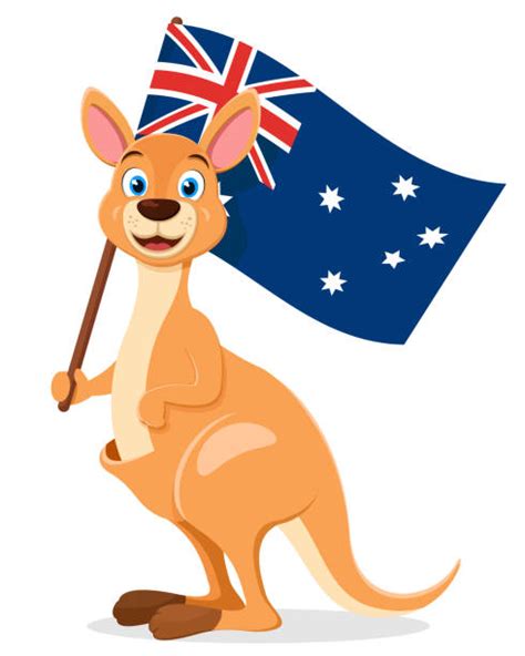 Kangaroo Cartoon Stock Photos, Pictures & Royalty-Free Images - iStock